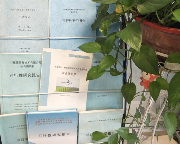 芒市全链条建材可行性研究(全链条建材可行性研究方案)