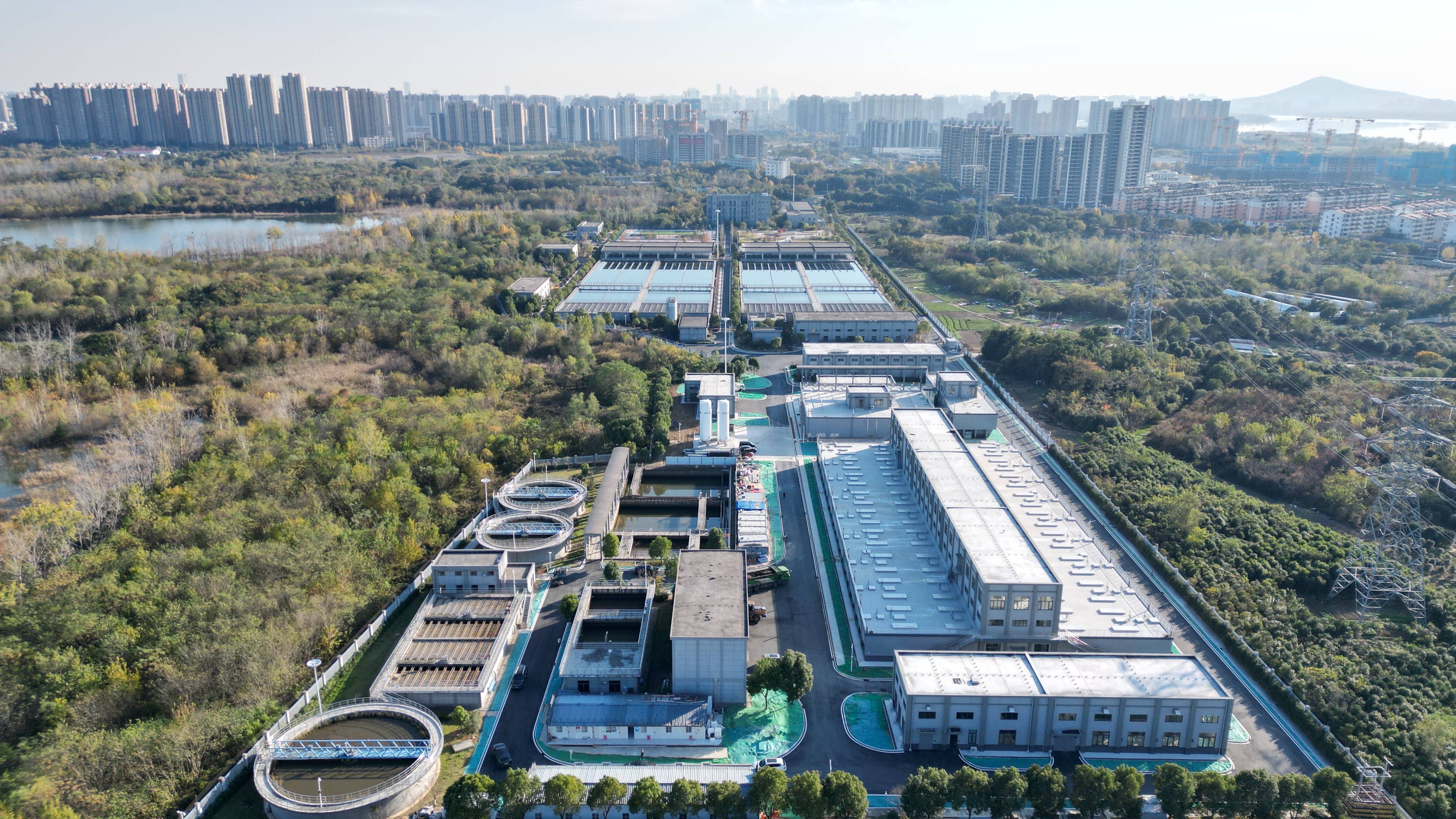 芒市合肥专业企业价值增长(合肥市重点企业产业目录)