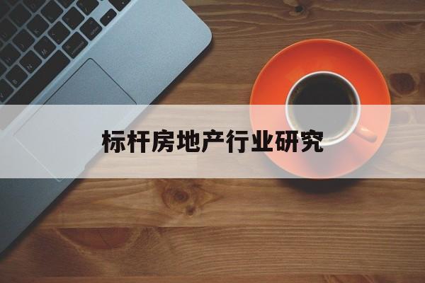 芒市标杆房地产行业研究(房地产领域的标杆人物)