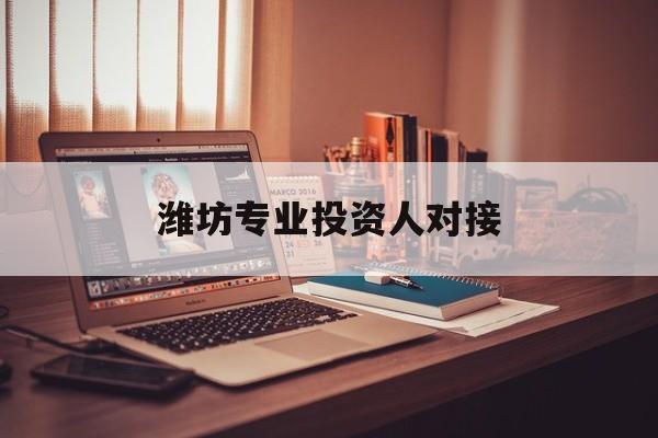 芒市潍坊专业投资人对接(潍坊专业投资人对接中心)