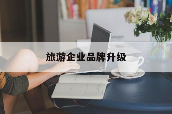 芒市旅游企业品牌升级(旅游企业品牌升级措施)
