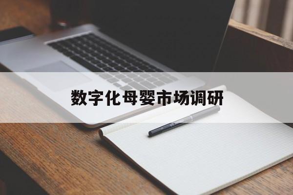芒市数字化母婴市场调研(数字化母婴市场调研报告)