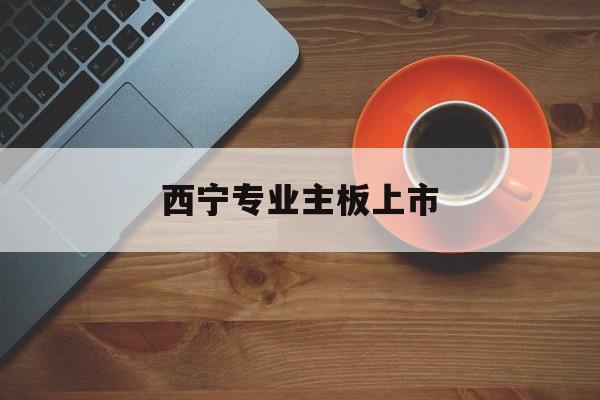 芒市西宁专业主板上市(西宁有什么上市公司)