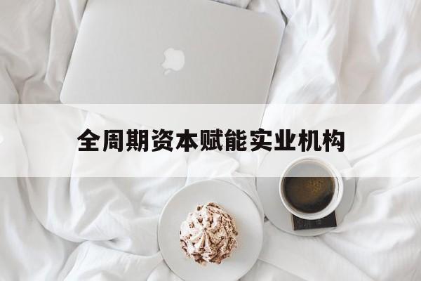 芒市全周期资本赋能实业机构(全周期管理)